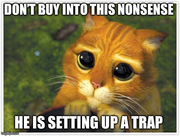 Shrek Cat | DON’T BUY INTO THIS NONSENSE; HE IS SETTING UP A TRAP | image tagged in memes,shrek cat | made w/ Imgflip meme maker