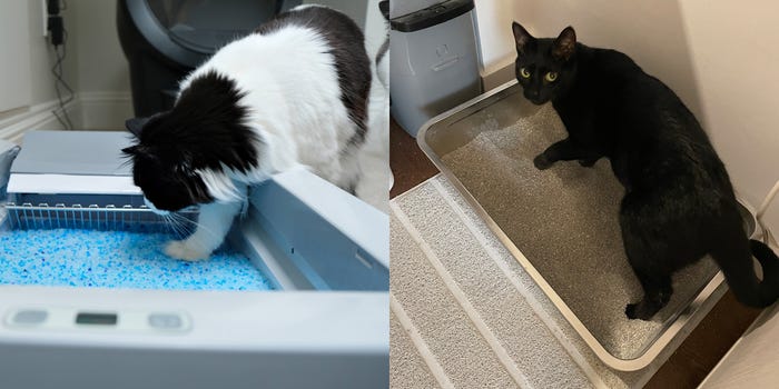 A composite image of a long-haired black and white cat entering an automatic litter box filled with crystal litter and a black cat using a stainless steel litter box.