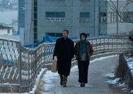 « Hiver à Sokcho », une femme entre deux rives