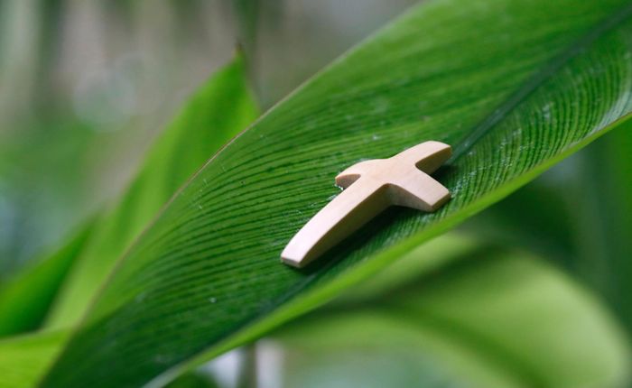 L’auteur de cette tribune Gaultier Bès évoque les moyens pour convertir les catholiques à l’écologie. 