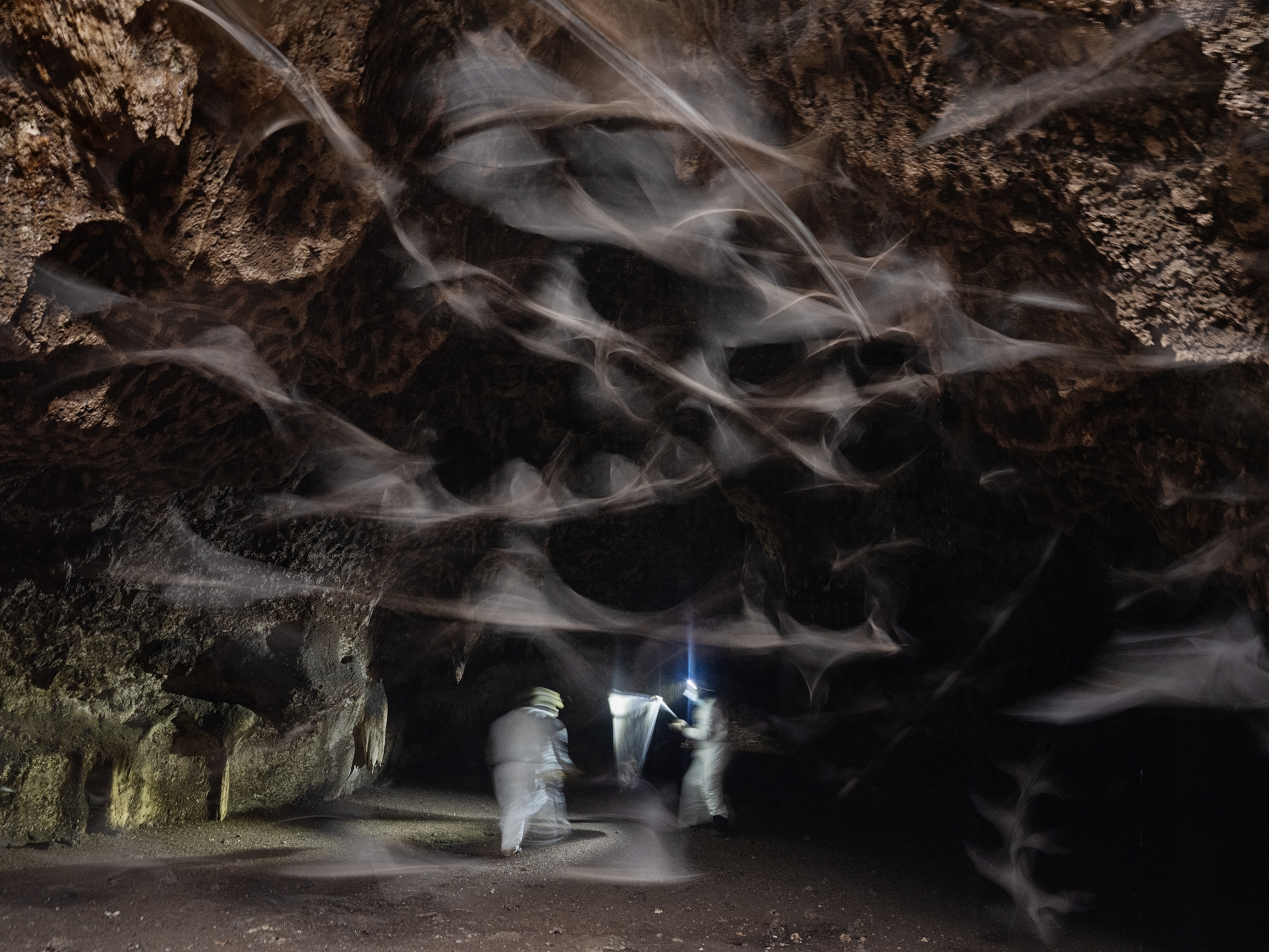 Long exposure photo of people in cave with traces of flying bats like cloud above humans' hads.