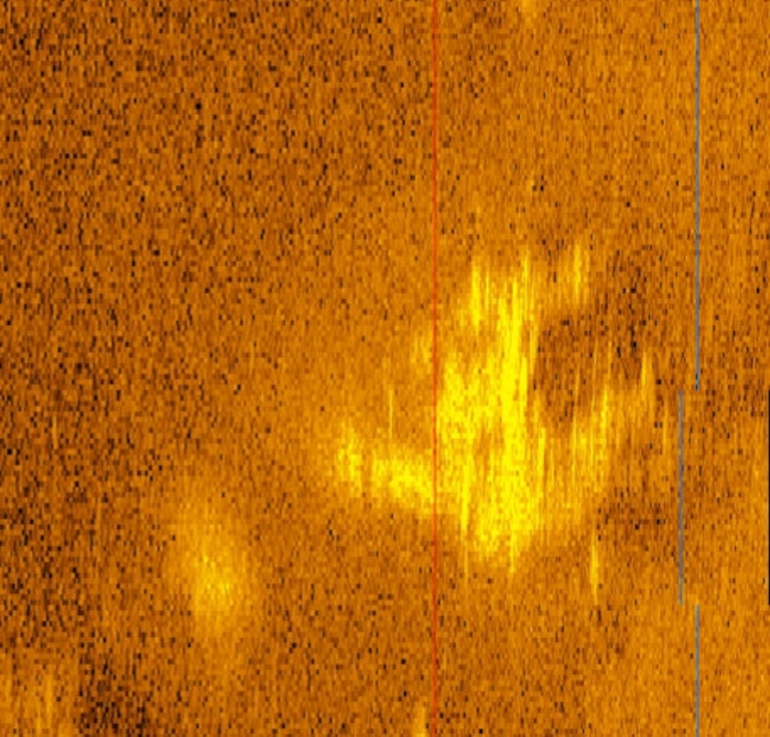 a sonar image of a plane