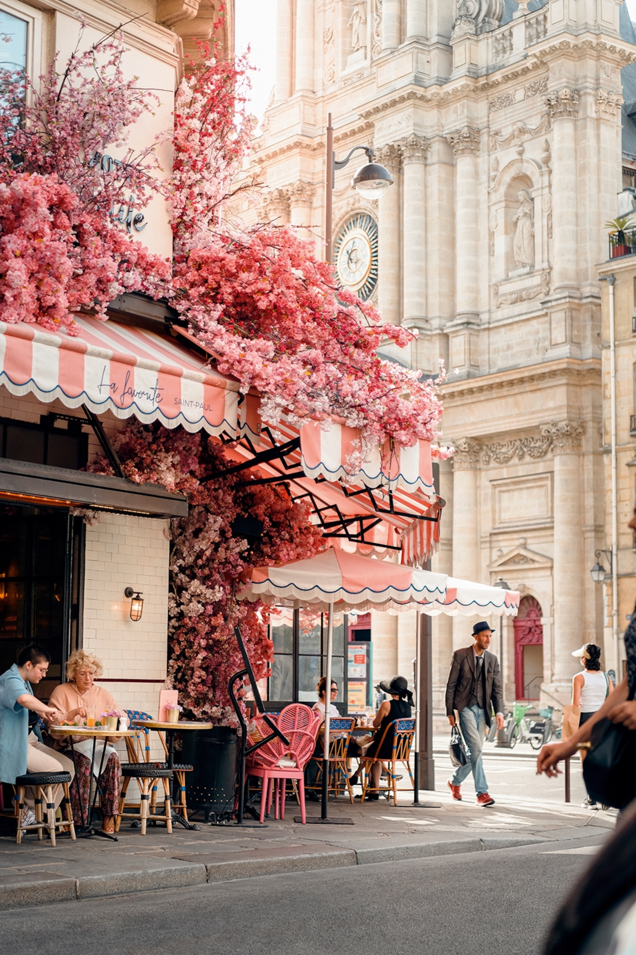 Summer terrace seating at a brasserie on Rue de Rivoli, pink cherry blossoms frame the front entrance and pink and white striped canopies shield patrons from the sun.