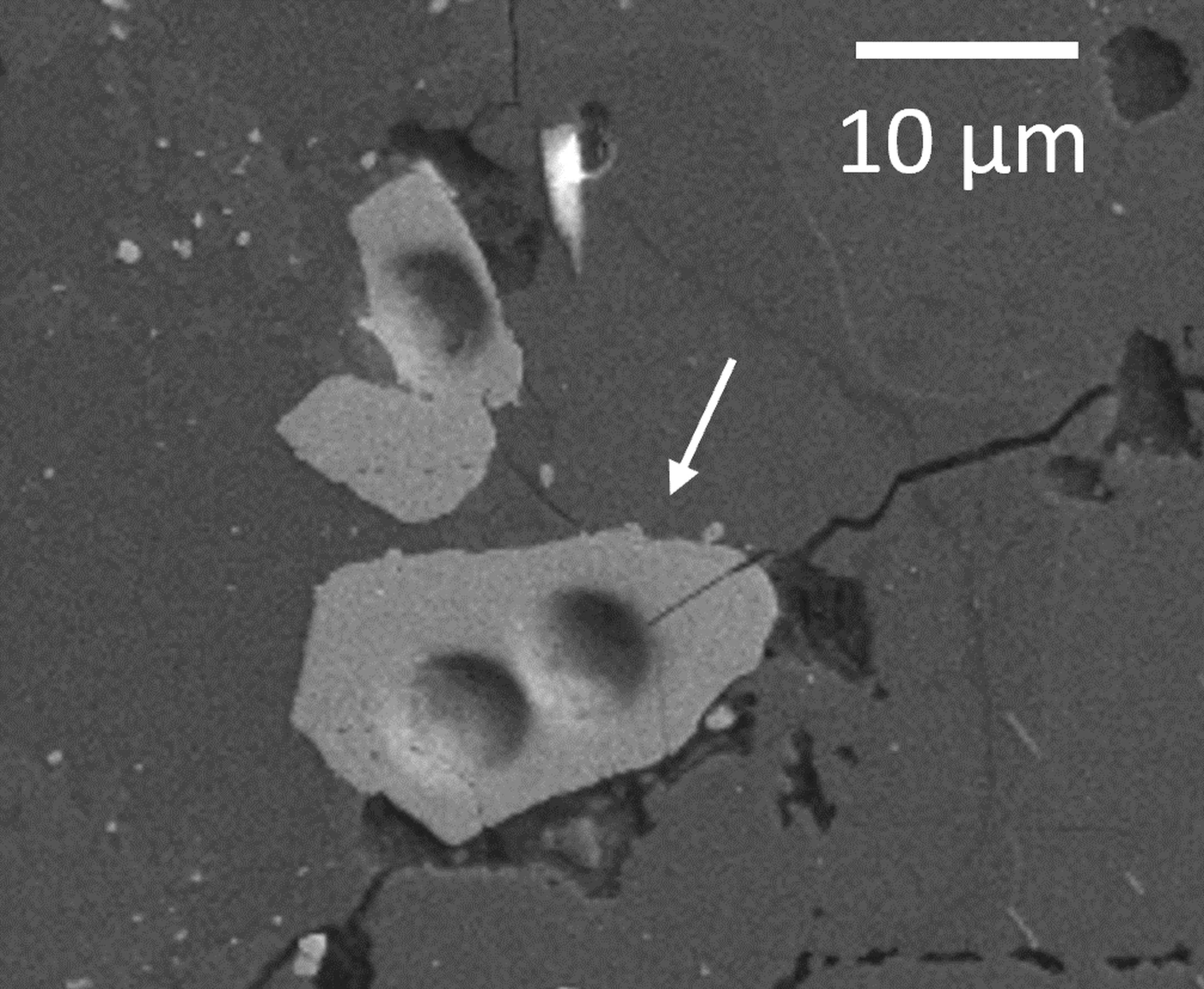 Scanning electron microscopic view of a lunar zircon grain.