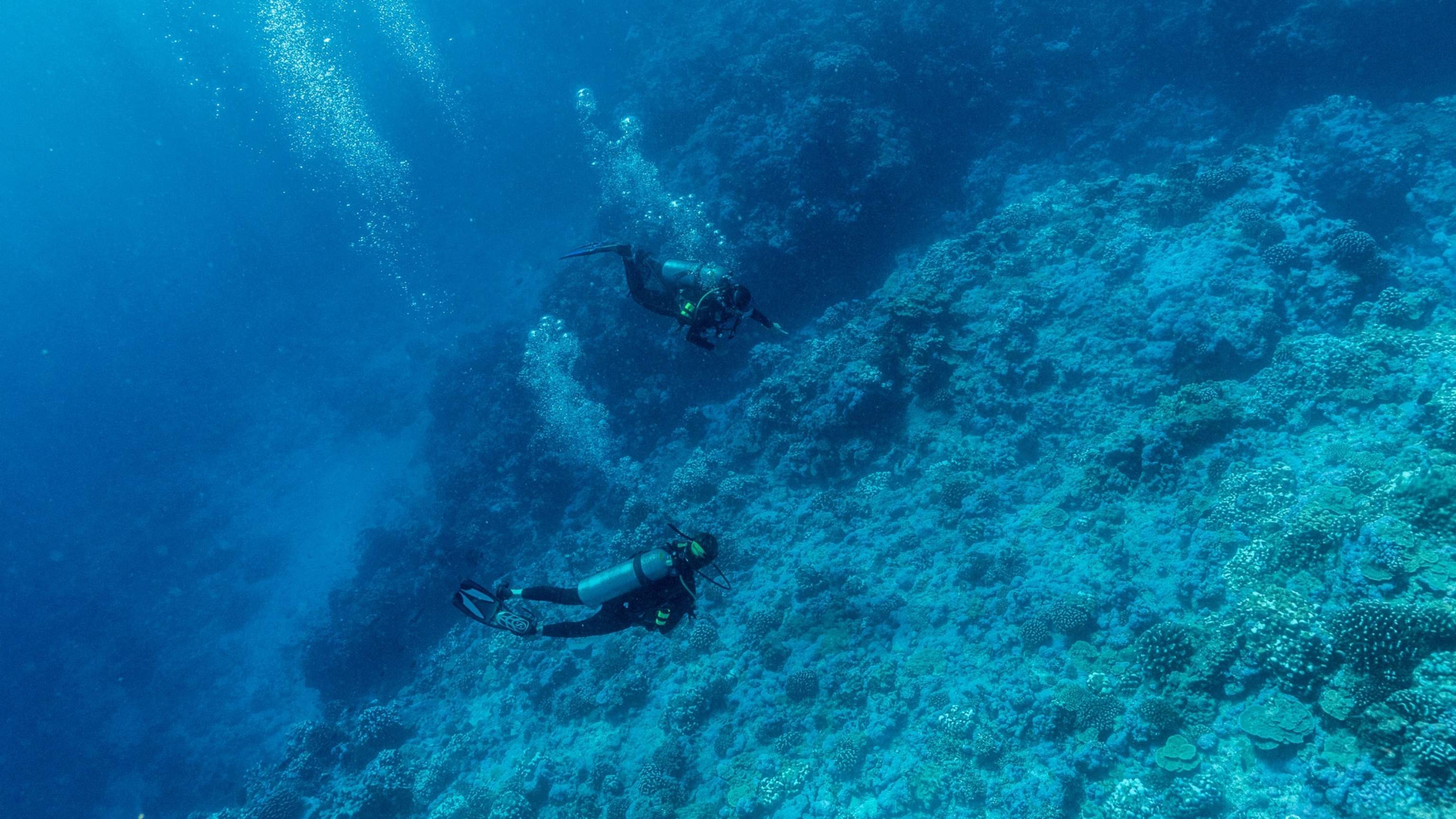 Expedition members Allison Fundis and Samantha Wishnak dive in the primary search area just off Nikumaroro Island.