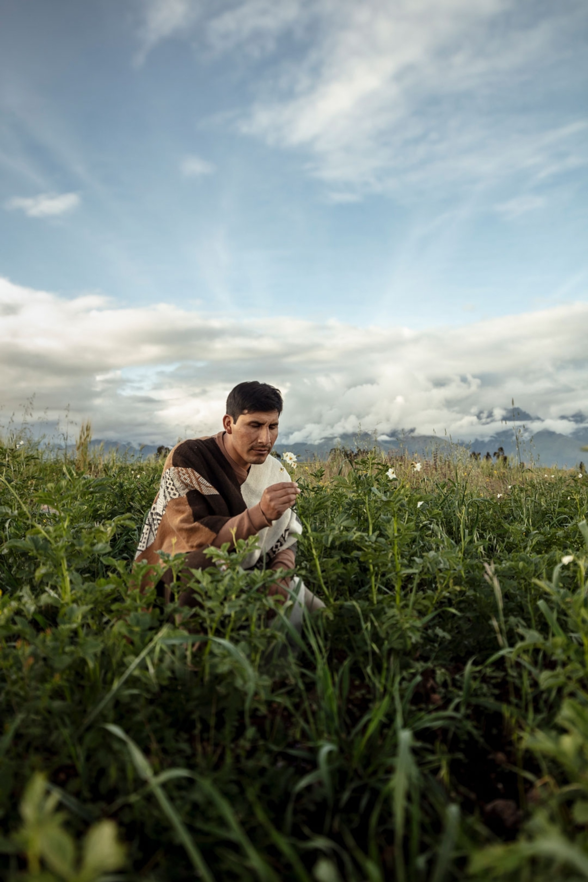 Man kneeling in a field holding a flower