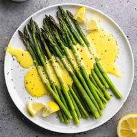 Easy Blender Hollandaise Sauce