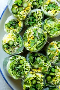 green summer rolls close up