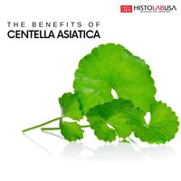 What is Centella Asiatica? a natural source of potent phytochemicals that work wonders for your complexion. Benefits for Your Skin: 1️⃣ Soothing: It's a calming champion, perfect for sensitive or irritated skin. 2️⃣ Hydration: A moisture magnet, it keeps your skin plump and hydrated. 3️⃣ Healing: Known for its wound-healing properties, it helps repair and renew your skin. 4️⃣ Anti-Aging: Packed with antioxidants, it fights the signs of aging.