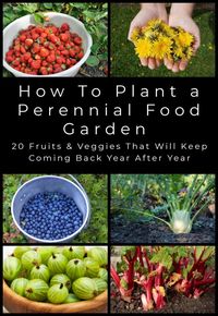 Plant these fruits and veggies once and harvest their delicious bounty for years and years. This is the perfect set-and-forget edible garden!