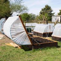 This hinged DIY hoop house is perfect to extend the growing season, protecting vegetable plants from cold weather and pests. Includes video