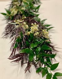 Birthday Garland with Agonis, Italian Ruscus, Seeded Eucalyptus and Waxflower!