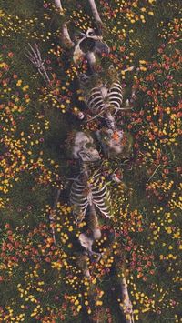 skull lovers with flowers