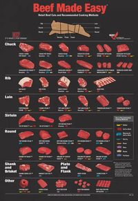 A3 Beef Cuts Poster HD Print Butchers Cow Food | eBay