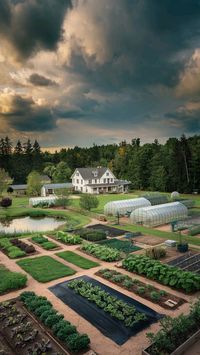 “Plan your dream 1-acre homestead with this ultimate guide. From vegetable gardens to animal pens, create a self-sufficient paradise. 🌿🐔🍅 #UltimateHomestead #DreamFarm #SustainableLiving #SelfSufficiency #HomesteadDesign #EcoFriendly #DIYHomestead #OrganicGardening