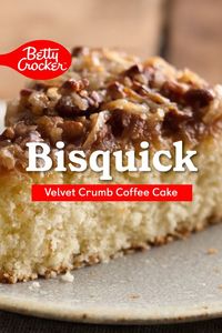 We have a delicious coffee cake recipe for you to try! This Bisquick Velvet Crumb Coffee Cake is a tried and true versatile recipe that is perfect for dessert or breakfast. The best part- it only takes 6 ingredients to make the cake! And, with only 20 minutes of prep time, you won’t hesitate when the family asks for more!