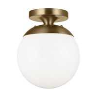 Generation Lighting 7518-848 Sea Gull Leo - Hanging Globe 1 Light Ceil – Foundry Lighting