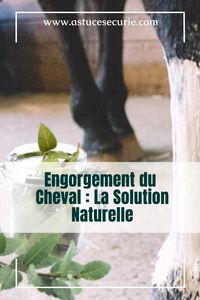 Enfin un soin naturel pour soulager les jambes des chevaux qui engorgent. Une recette facile et naturelle pour faire dégonfler les pattes de votre cheval en quelques heures. #equitation