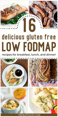 Try our low-FODMAP gluten-free recipes, perfect for anyone looking to alleviate digestive discomfort while enjoying delicious food. These meals are nutritious and tasty, with a range of options from quick snacks to elaborate dinners. These recipes will transform your diet and support your digestive health. Clean Eating Recipes | Gluten-Free Easy Meals | Easy Gluten-Free Recipes | Healthy Recipes | Food and Drink | Gluten Free Diet | Lunches and Dinners | Healthy Living | Gluten Free Lifestyle