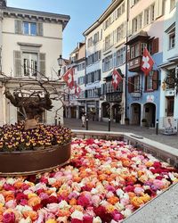 @bettina_k on Instagram: “Zürich downtown fountains are filled with colorful roses 💕 . . . . . . . . #favoritecity #zurich #zürich #visitzurich #visitswitzerland…”