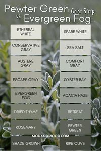 Don’t Choose Sherwin Williams Pewter Green Before Reading! (Plus Dupes) SW 6208 – Mod & Mood