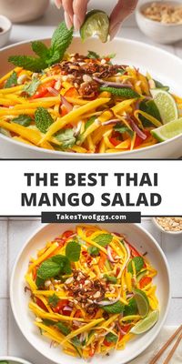 This delightful Thai mango salad combines the fresh tartness from green mangoes with the umami of fish sauce, the zing of lime juice and the crunch of peanuts and fried shallots. It is the perfect dish that celebrates a harmonious blend of refreshing combinations that just screams summer. #summerdinnerrecipes #saladrecipes #thairecipes