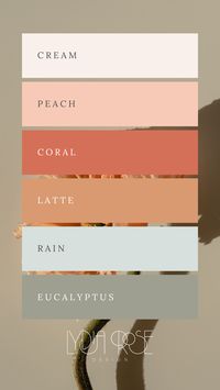 Elevate your branding or wedding theme with a soft peach and eucalyptus color palette. Combining cream, light sage, and soft green with darker peach and coral tones creates an effortlessly elegant and natural vibe. Ideal for small business logos or wedding invitations, the gentle mix of colors is both refreshing and timeless. This versatile palette adds a sense of calm and sophistication, perfect for those seeking a refined yet approachable aesthetic.