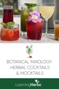 Botanical Mixology: Craft Herbal Cocktails & Mocktails That Come Out Delicious Every Time https://learningherbs.com/botanical-mixology/