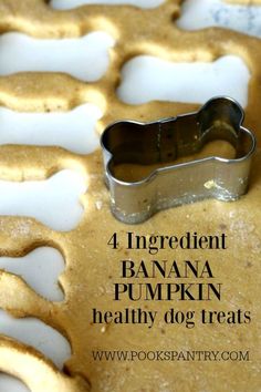 an easy recipe to make homemade banana pumpkin dog treats for the whole family with only 4 ingredients