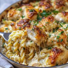 a close up of a pasta dish with chicken and parmesan cheese