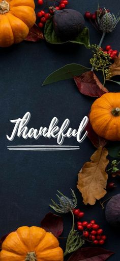 a thanksgiving card with pumpkins, leaves and berries on a black background that says, grateful