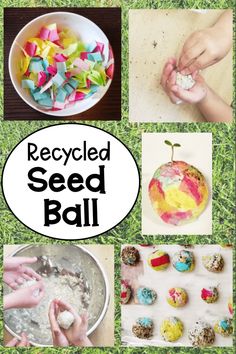 a collage of photos with the words recyclied seed ball on it