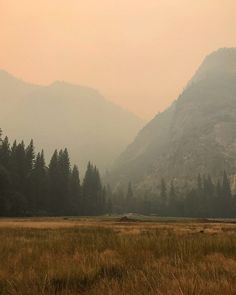 an open field with trees and mountains in the backgroung, on a foggy day