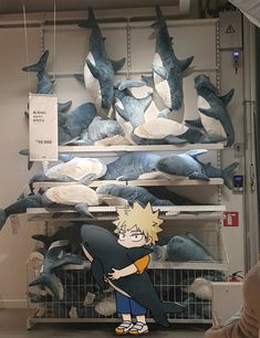 a man standing in front of a display of stuffed dolphins and other sea creatures on shelves