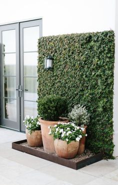 two large potted plants sitting next to each other in front of a door way