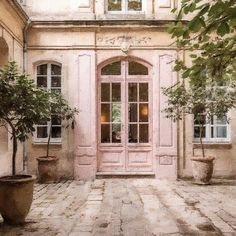 an old building with two potted trees in front of it and a pink door