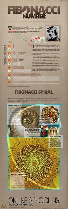 an info sheet with information about fibonaci number 1 and the numbers on it