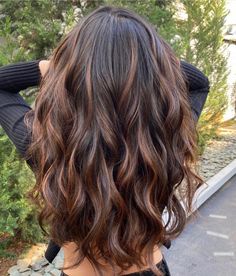 65 Brown Hair With Caramel Highlights Looks To Try Right Now Brown Hair Color Shades, Natural Brown Hair, Warm Brown Hair, Cinnamon Hair, Brown Hair With Caramel Highlights, Rambut Brunette, Chocolate Brown Hair Color, Honey Brown Hair, Brown Hair Inspo