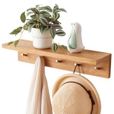 a hat and umbrellas are hanging on a wooden shelf next to a potted plant