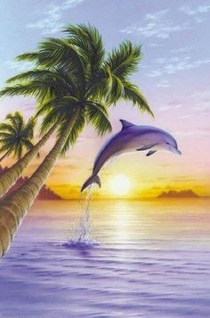 two dolphins jumping out of the water with palm trees and sunset in the back ground