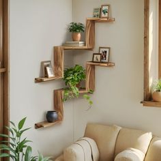 a living room filled with lots of furniture and plants on top of shelving units