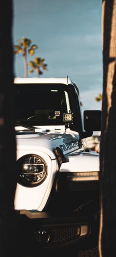 a white jeep parked next to a palm tree