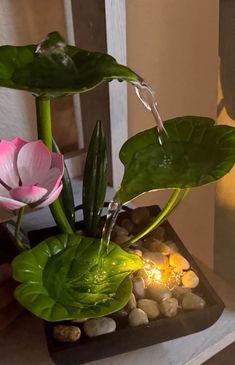 a water fountain with flowers and rocks in it