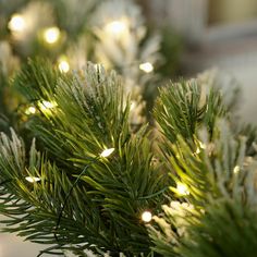 the branches of a pine tree are lit up with christmas lights