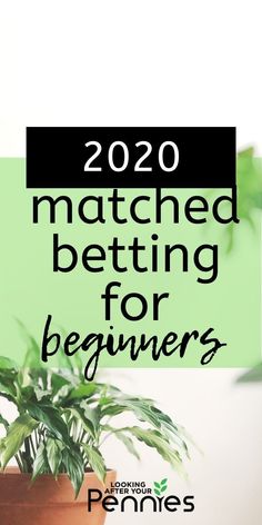 a potted plant with the words 2020 matched betting for beginners