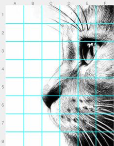 a drawing of a cat's face is shown with grids in the foreground