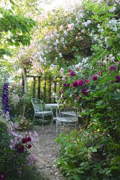 a garden with chairs and flowers on the ground