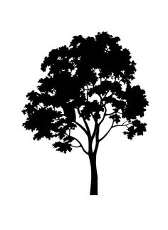 a black and white silhouette of a tree