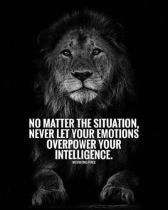 a black and white photo with a lion on it's face, saying no matter the situation never let your emotions overpoper your