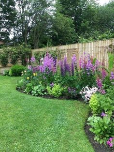 a garden with purple and white flowers in the grass next to a wooden fence that says garton desantum